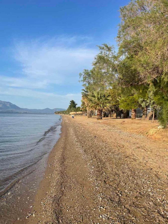 Μοντέρνα Εξοχική Μονοκατοικία Με Ιδιωτική Πισίνα! Khalkoutsion Exterior photo